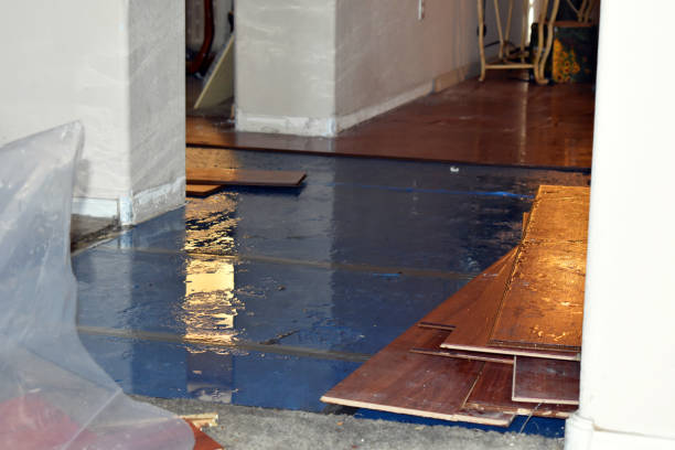 Professional Flood Damage Repair technician working in De Graff, OH